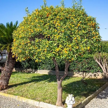 600 Meters From The Sea - Private Courtyard And Parking * דיאנו מרינה